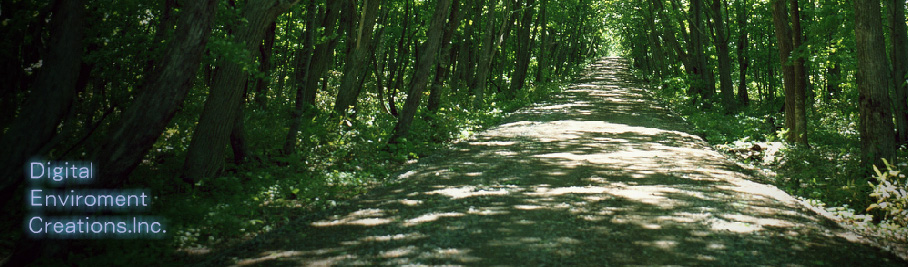 DEC Digital Environment Creations Inc.